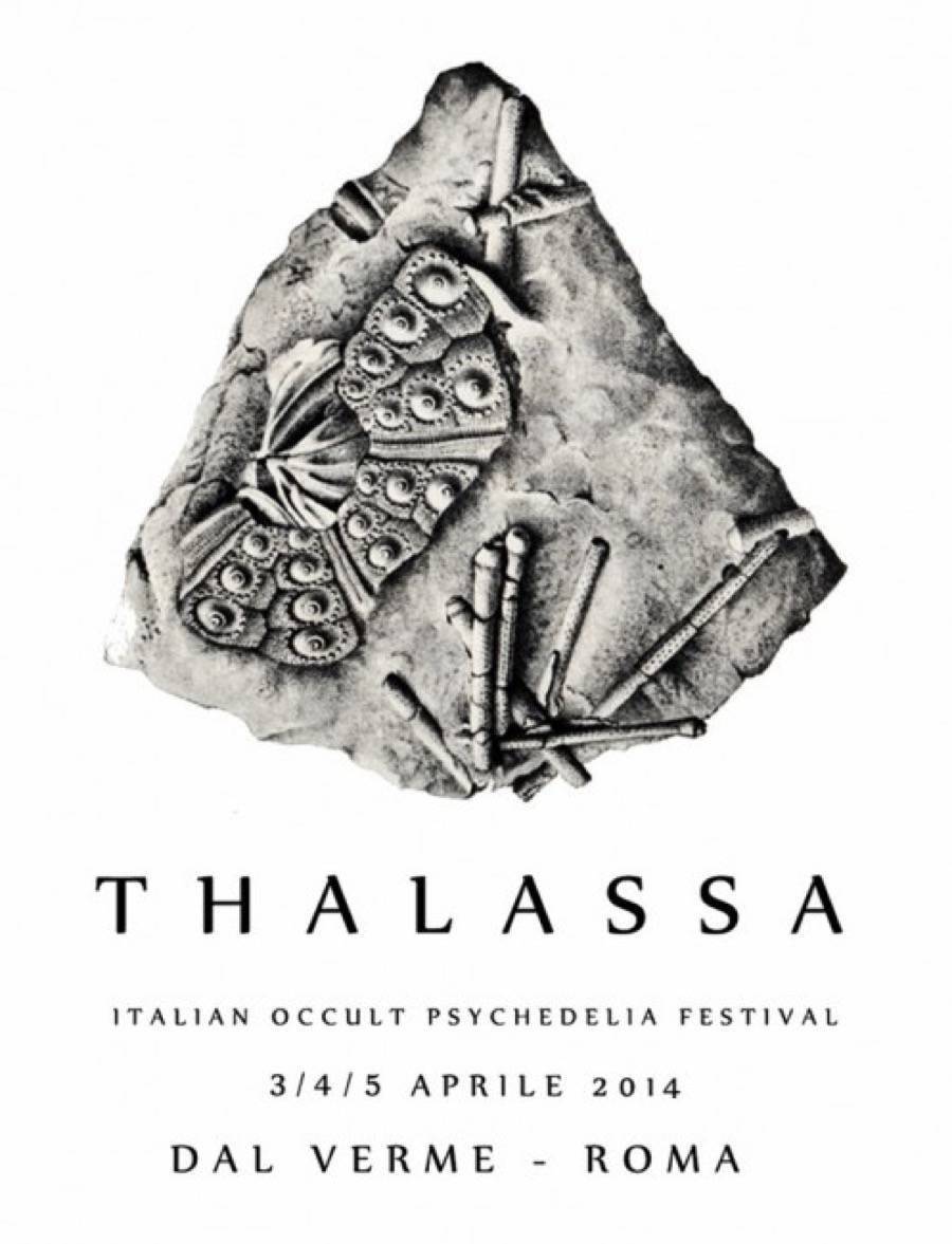 thalassa-fossil-box