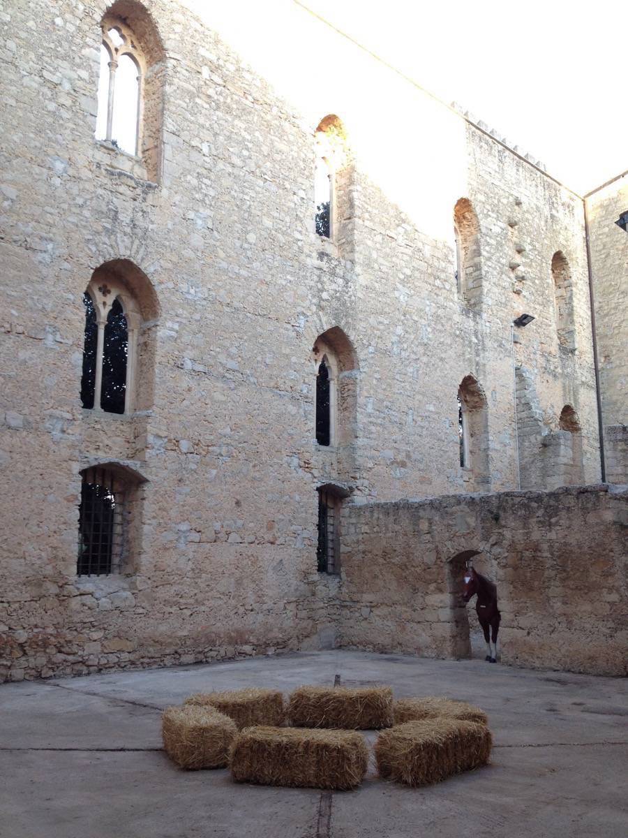 Swarm_festival_2014_SA