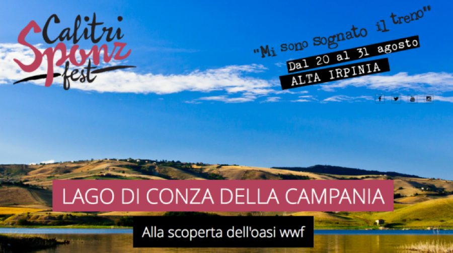 sponz fest 2014