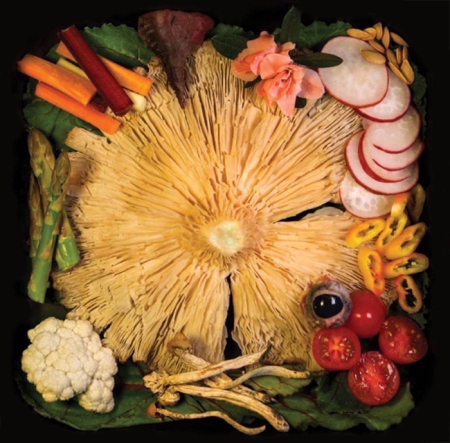 ACID BABY JESUS -Vegetable- EP - front cover