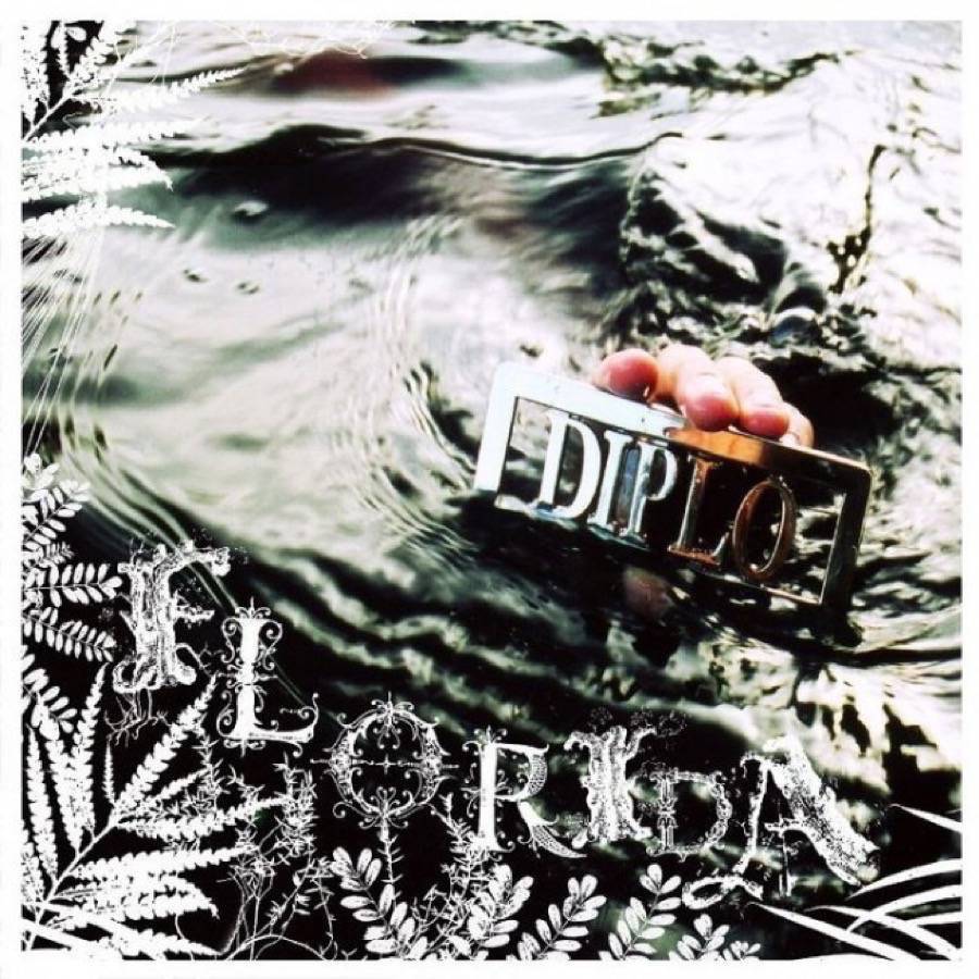 diplo florida