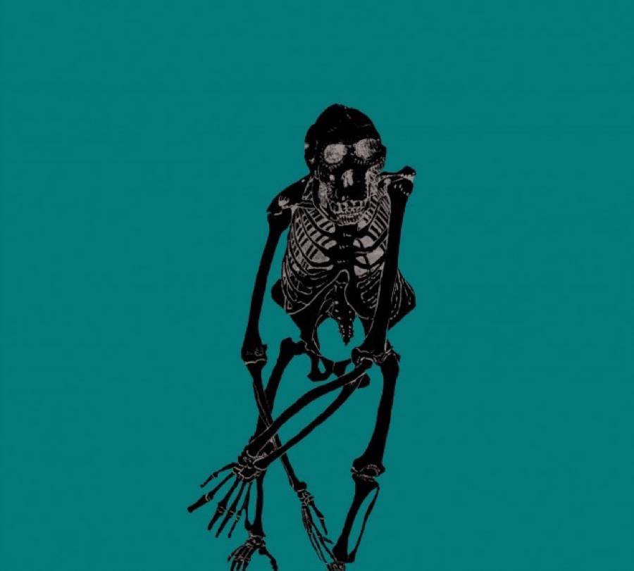 phantorama-phantorama