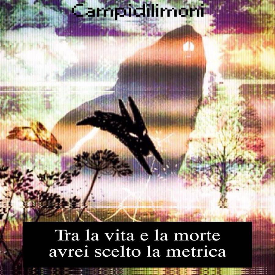 Campidilimoni album