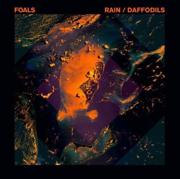 foals rain daffodils