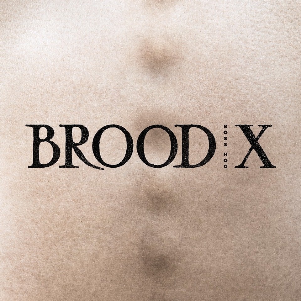 boss-hog-brood-x