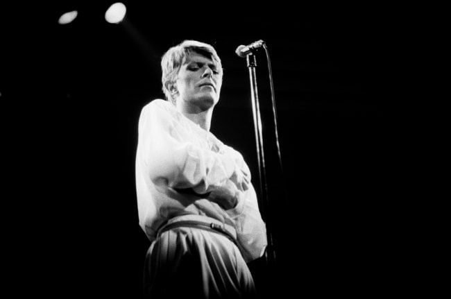 Bowie, live 1978 © Esther Friedman 2019